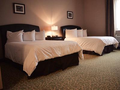 Belvedere Inn Schenectady - Albany Pokoj fotografie