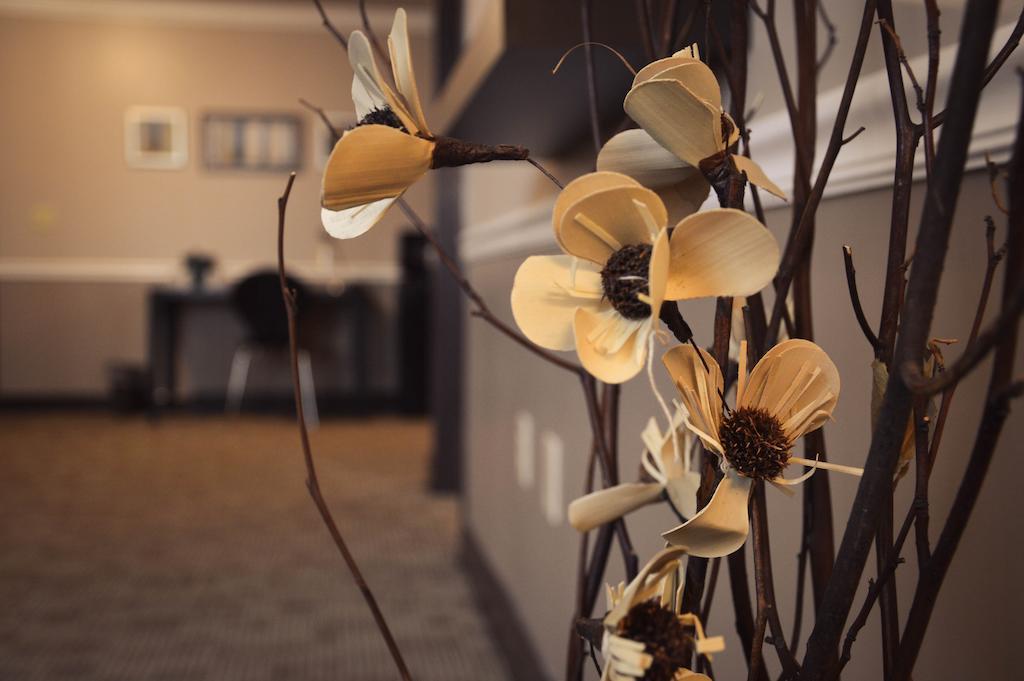 Belvedere Inn Schenectady - Albany Pokoj fotografie